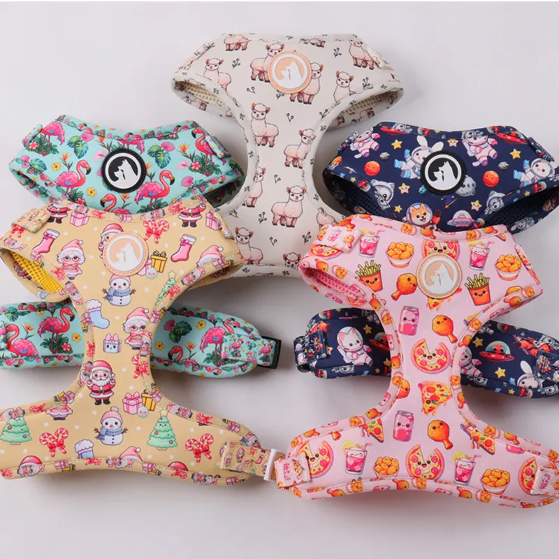 Polyester Dog Harness: Custom Logo, Color, Size, and Accessories 2