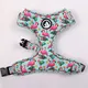 Polyester Dog Harness: Custom Logo, Color, Size, and Accessories 6