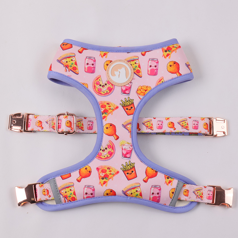 OKEYPETS Ensemble harnais double face personnalisé pour chien, collier et laisse en polyester 7