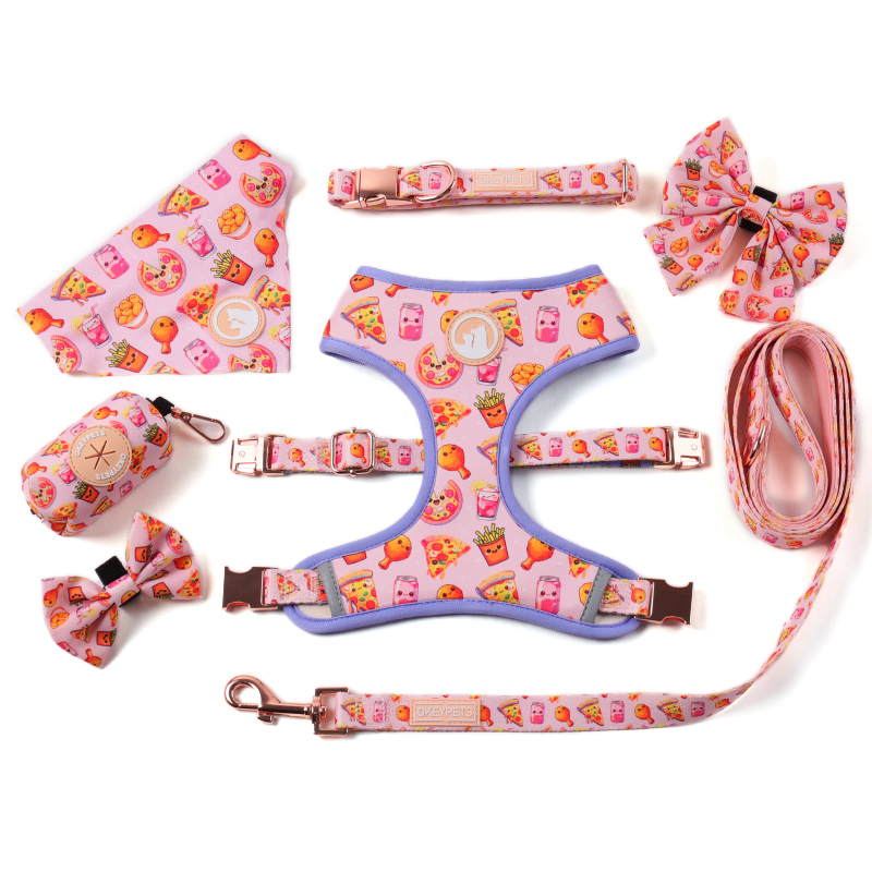 OKEYPETS Ensemble harnais double face personnalisé pour chien, collier et laisse en polyester 9