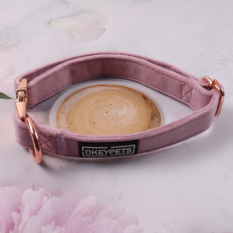 Collier et laisse en velours OKEYPETS Factory pour chiens de petite et moyenne taille, logo personnalisé. Convient aux petits et moyens chiens. 17