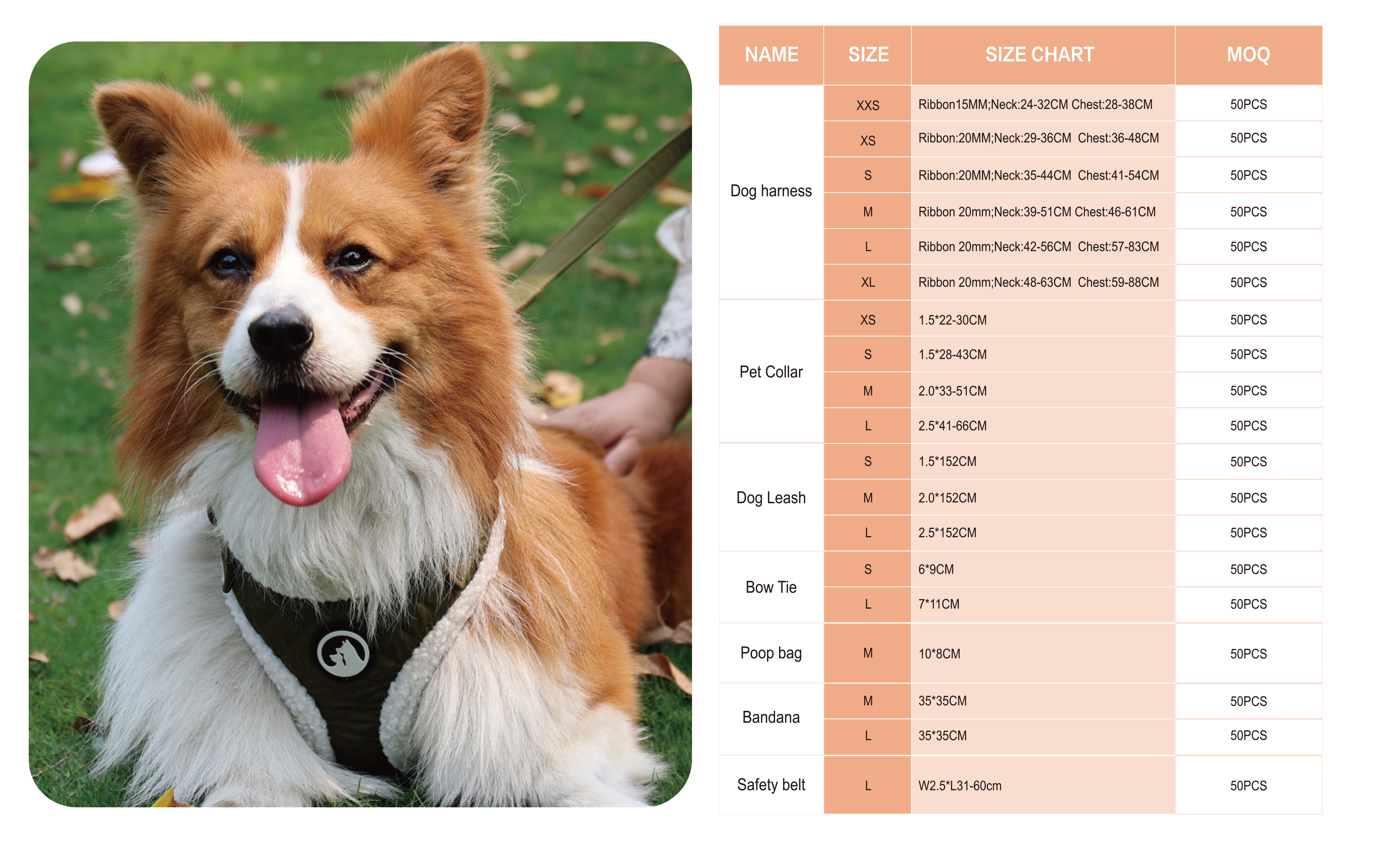 Ensemble de harnais pour chien personnalisé, réglable, anti-traction, couleur tendance. 19