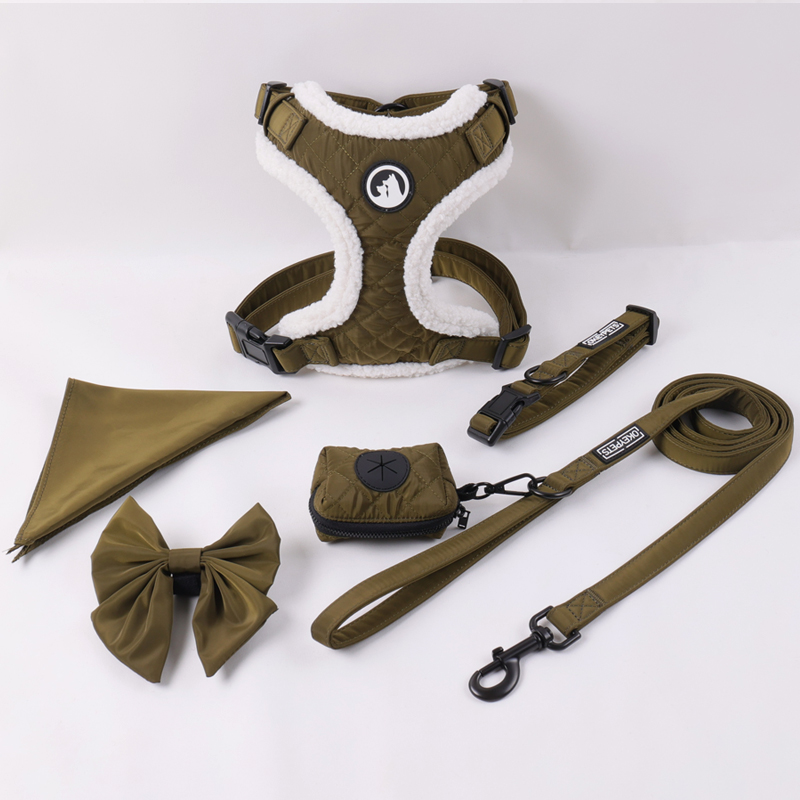 Ensemble de harnais pour chien personnalisé, réglable, anti-traction, couleur tendance. 7