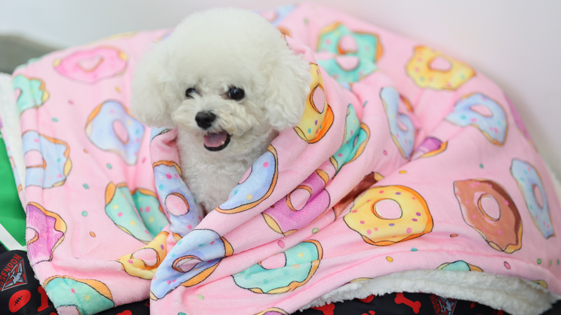 Couverture pour animaux de compagnie Sherpa personnalisée en flanelle polaire ultra douce imprimée 9