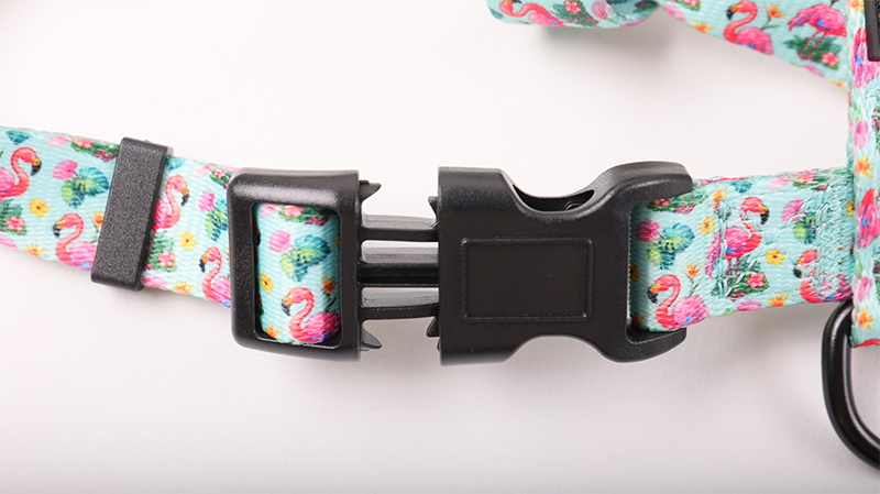 OKEYPETS Harnais sur mesure pour chien, ensemble réglable en sangle polyester 10