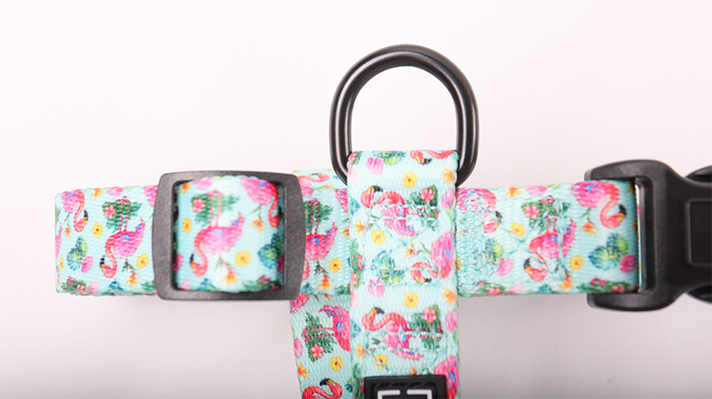 OKEYPETS Harnais sur mesure pour chien, ensemble réglable en sangle polyester 11