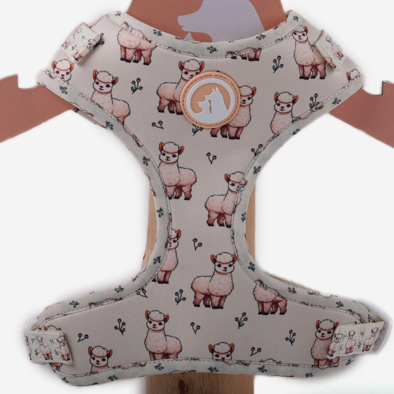 OKEYPETS Ensemble harnais pour chien, harnais en polyester, laisse et collier pour chien, accessoires pour animaux de compagnie 7