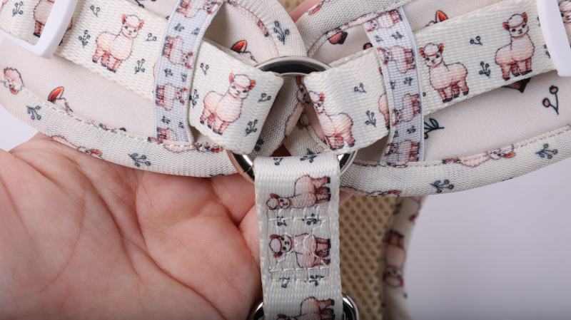 OKEYPETS Ensemble harnais pour chien, harnais en polyester, laisse et collier pour chien, accessoires pour animaux de compagnie 9