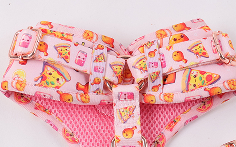 OKEYPETS Harnais pour chien en néoprène rose personnalisé, collier et laisse pour chien, sublimation incluse 9