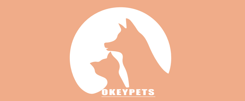 OKEYPETS Ensemble harnais de cowboy personnalisé en jean pour chien, laisse et collier, accessoires pour animaux de compagnie, harnais en denim tendance. 6