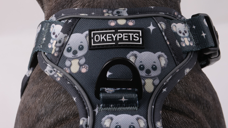 Harnais pour chien Oxford réglable et anti-traction, réfléchissant, facile à contrôler, fabriqué en Chine 10