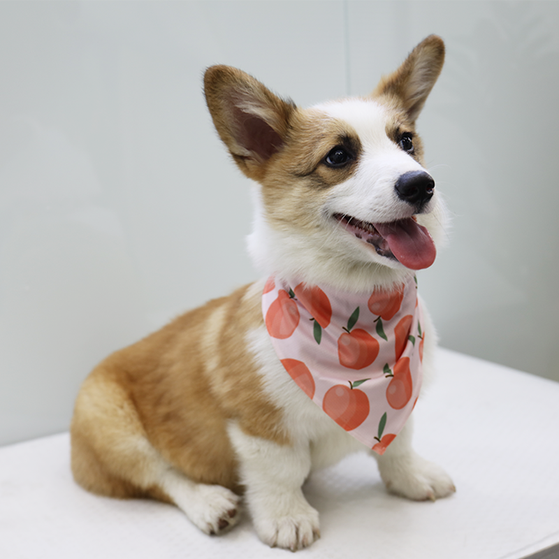 Écharpe personnalisée OKEYPETS pour chien, bandana à motif sublimé 17