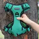 Reinforced Oxford Dog Harness - Best for Hiking 4
