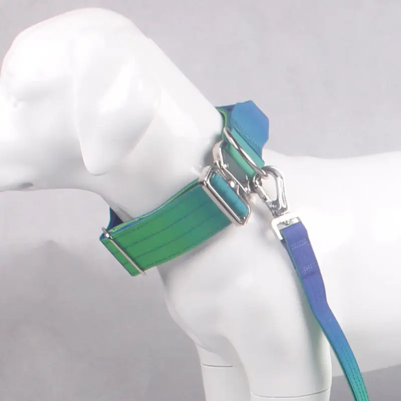 Padded Tactical Dog Collar for Medium and Large Breeds 5