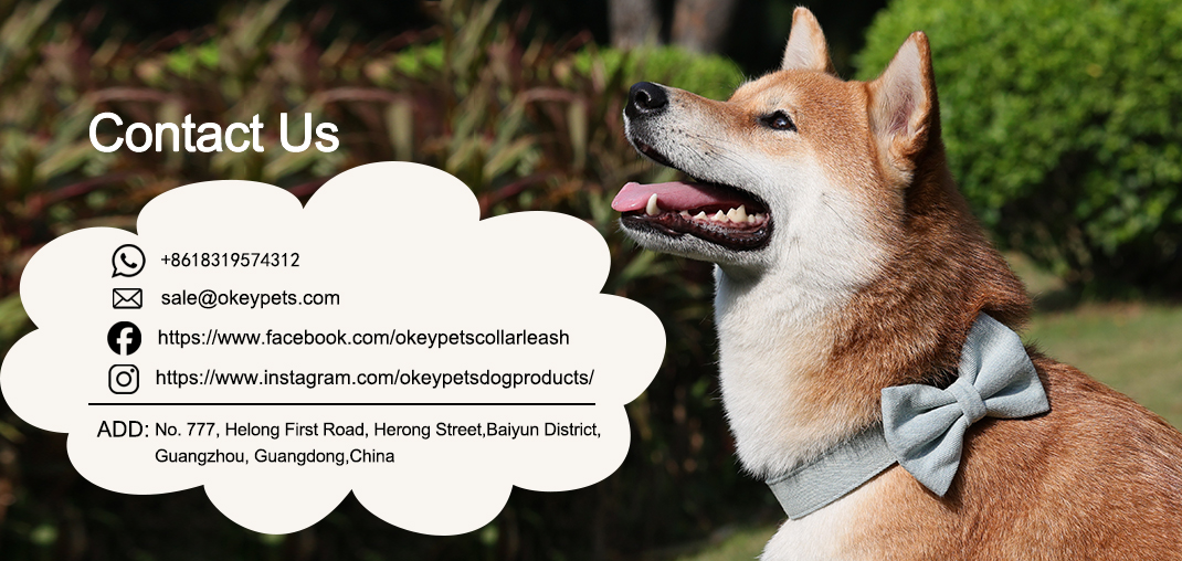 Collier tactique personnalisé pour chien, à dégradé de couleurs, antidéflagrant, pour grands chiens 28