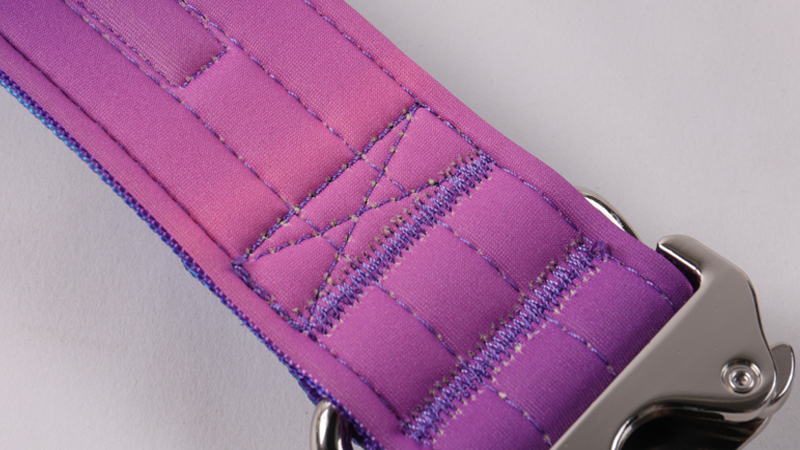 Collier de sécurité robuste pour chien OKEYPETS avec poignée de contrôle 8