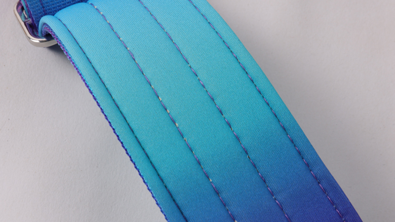 Collier de sécurité robuste pour chien OKEYPETS avec poignée de contrôle 10