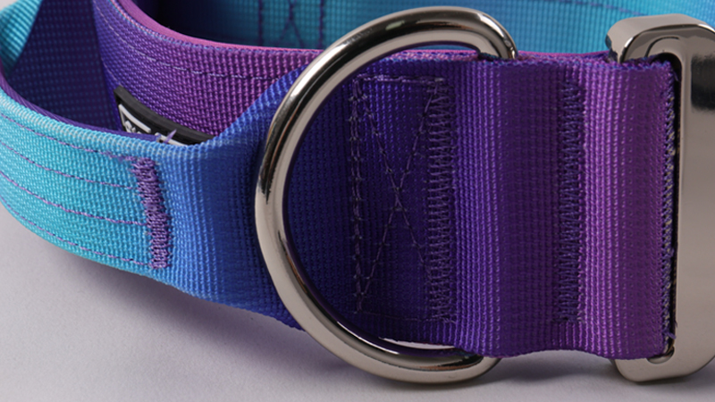 Collier de sécurité robuste pour chien OKEYPETS avec poignée de contrôle 11