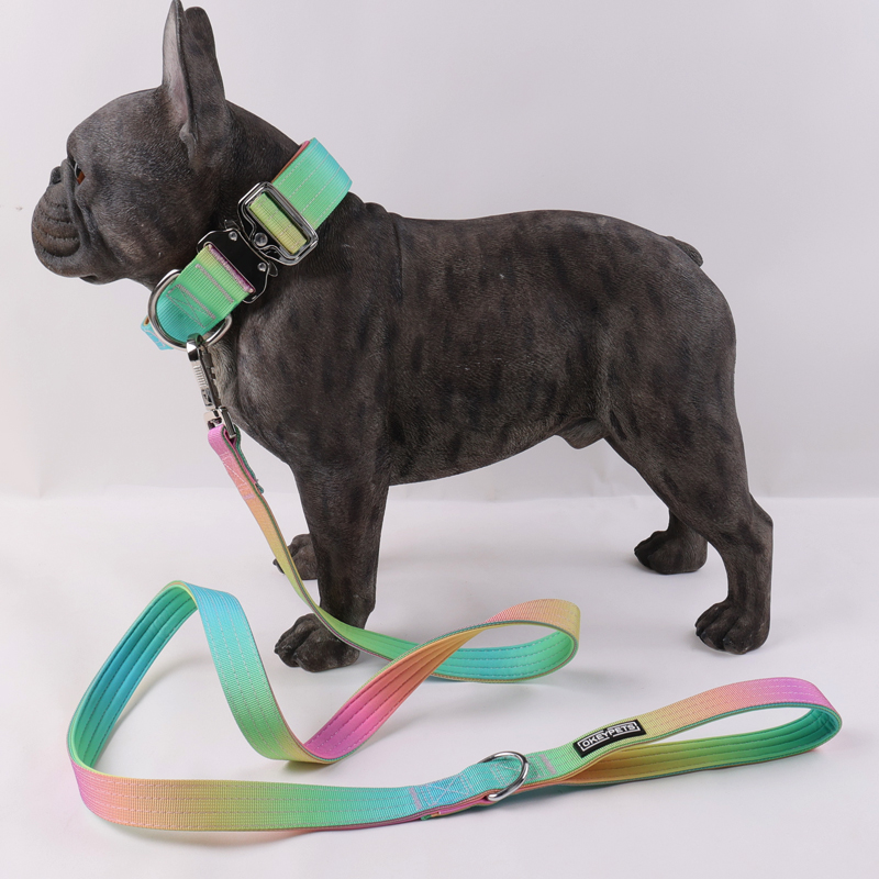 Collier de sécurité robuste pour chien OKEYPETS avec poignée de contrôle 21