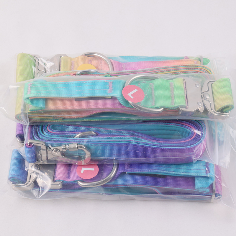 Collier de sécurité robuste pour chien OKEYPETS avec poignée de contrôle 20