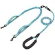 Dual Handle Bungee Dog Leash - Efficient Control for Two Dogs 2