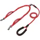 Dual Handle Bungee Dog Leash - Efficient Control for Two Dogs 4
