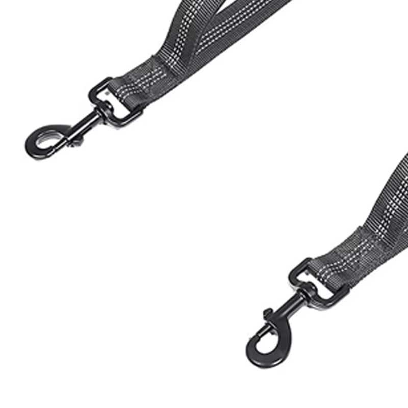 Laisse pour chien en gros, double en nylon réfléchissant, élastique 6