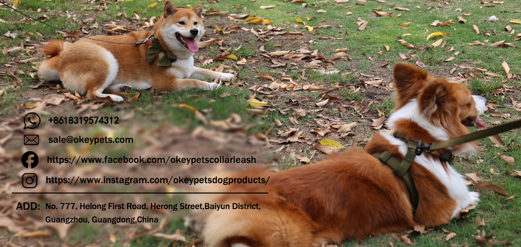 Laisse pour chien en gros, double en nylon réfléchissant, élastique 14