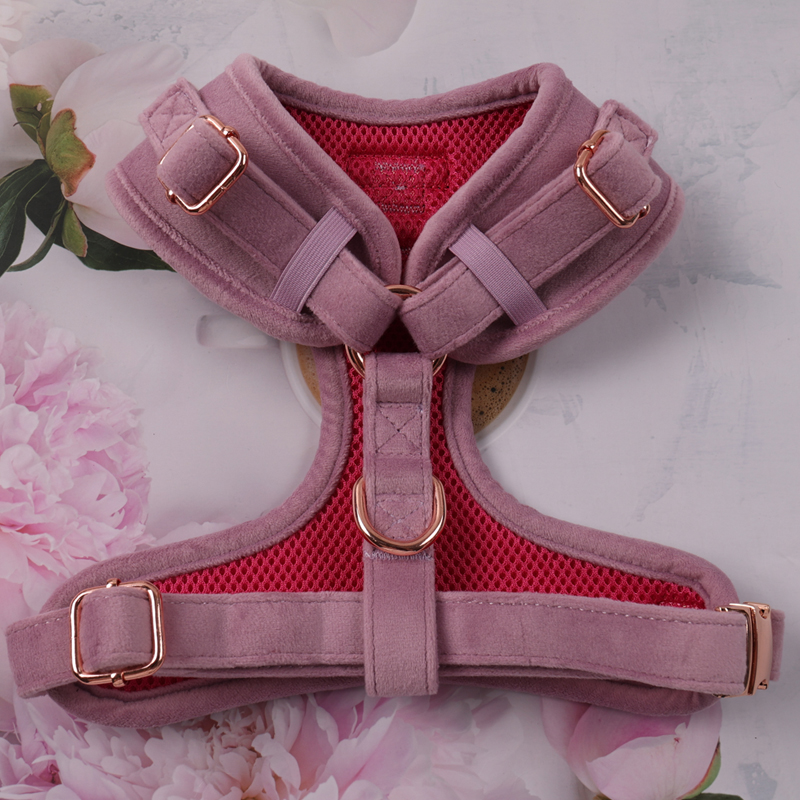 Harnais pour chien en velours sur mesure, harnais ajustable pour animaux de compagnie, usine chinoise 10