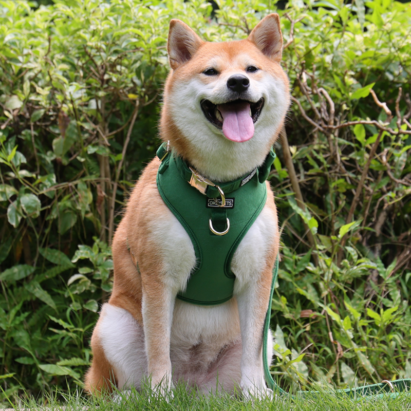 Harnais pour chien en velours sur mesure, harnais ajustable pour animaux de compagnie, usine chinoise 29