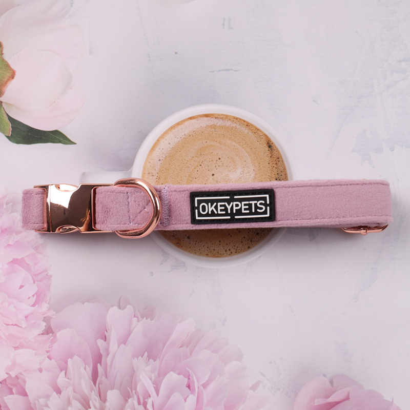 Harnais pour chien en velours sur mesure, harnais ajustable pour animaux de compagnie, usine chinoise 19