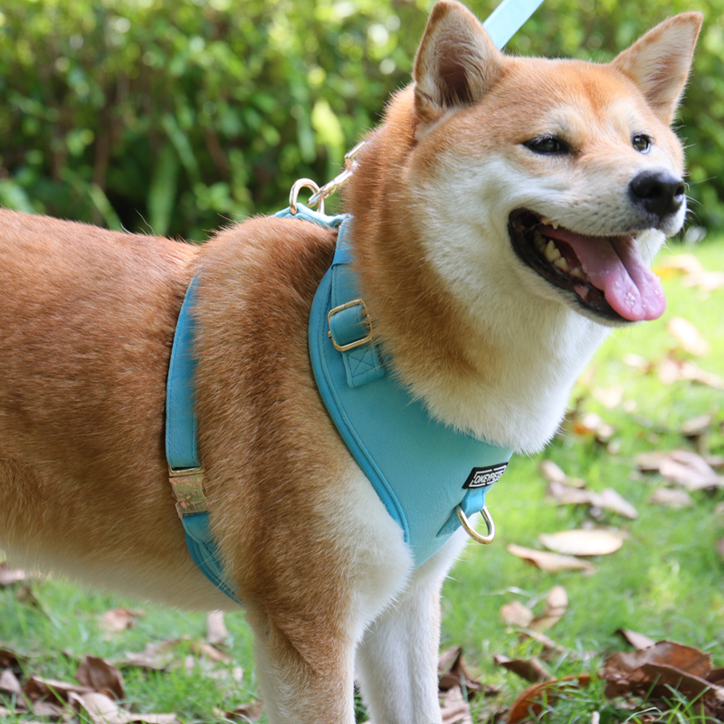 Harnais pour chien en velours sur mesure, harnais ajustable pour animaux de compagnie, usine chinoise 28