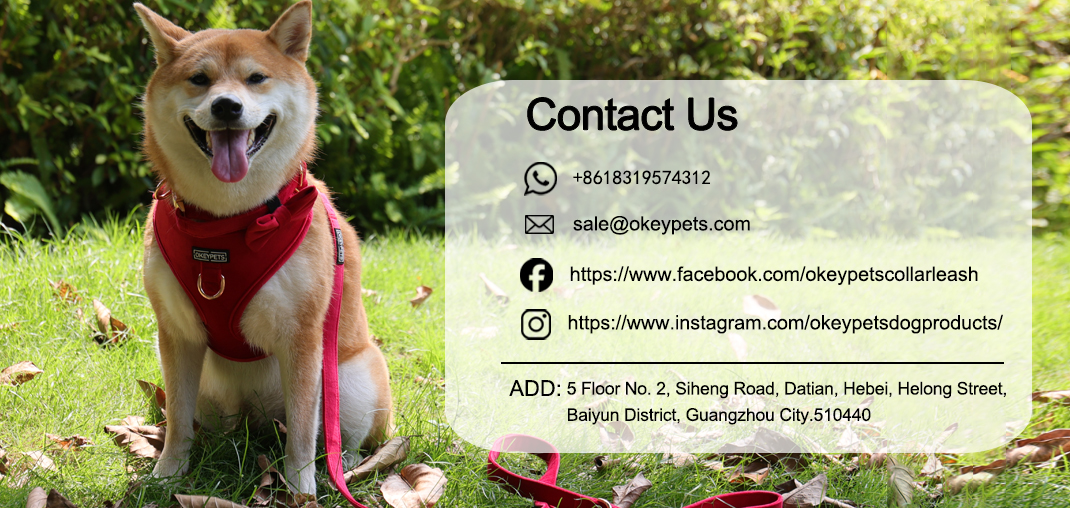 Harnais pour chien en velours sur mesure, harnais ajustable pour animaux de compagnie, usine chinoise 30