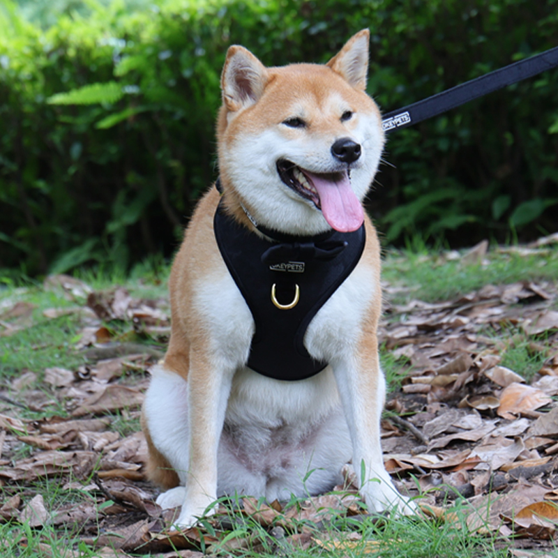 Harnais pour chien en velours sur mesure, harnais ajustable pour animaux de compagnie, usine chinoise 27