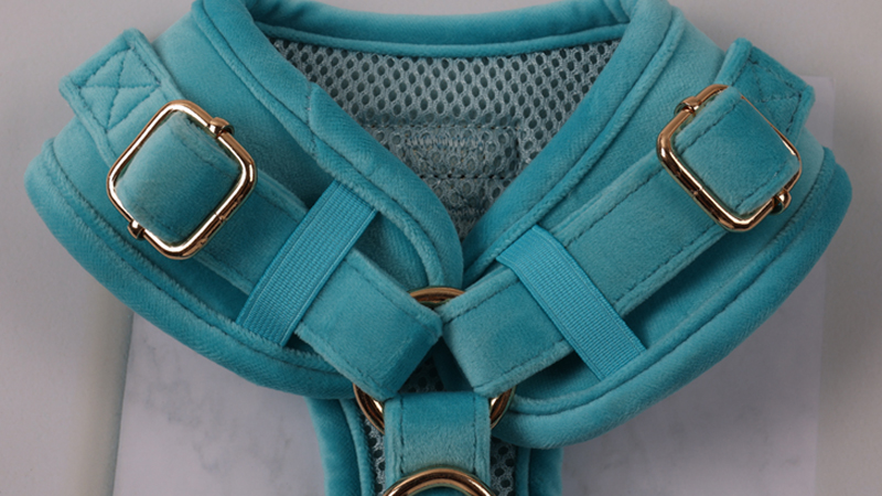 Baršunasti pojas za pse, set ogrlica s povodcem za pse u više boja, prilagođeni dizajn, podesivi set pojaseva za kućne ljubimce 13