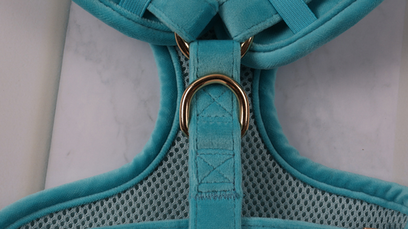 Baršunasti pojas za pse, set ogrlica s povodcem za pse u više boja, prilagođeni dizajn, podesivi set pojaseva za kućne ljubimce 14