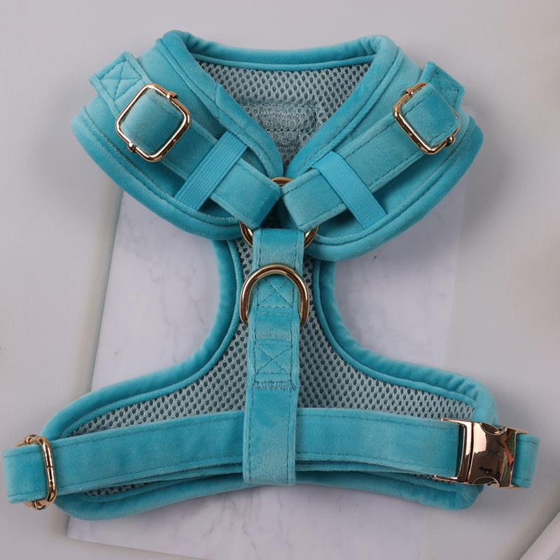 Baršunasti pojas za pse, set ogrlica s povodcem za pse u više boja, prilagođeni dizajn, podesivi set pojaseva za kućne ljubimce 10