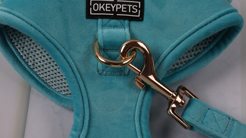 Baršunasti pojas za pse, set ogrlica s povodcem za pse u više boja, prilagođeni dizajn, podesivi set pojaseva za kućne ljubimce 15