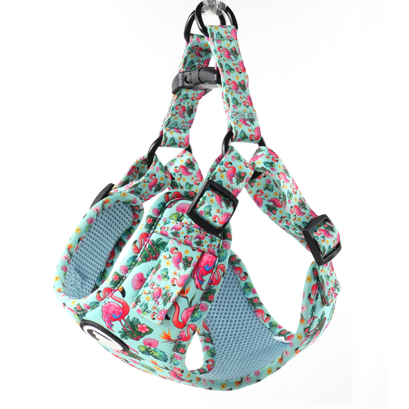 Ensemble harnais pour chien personnalisé avec motif mignon, collier et laisse pour animal de compagnie 21