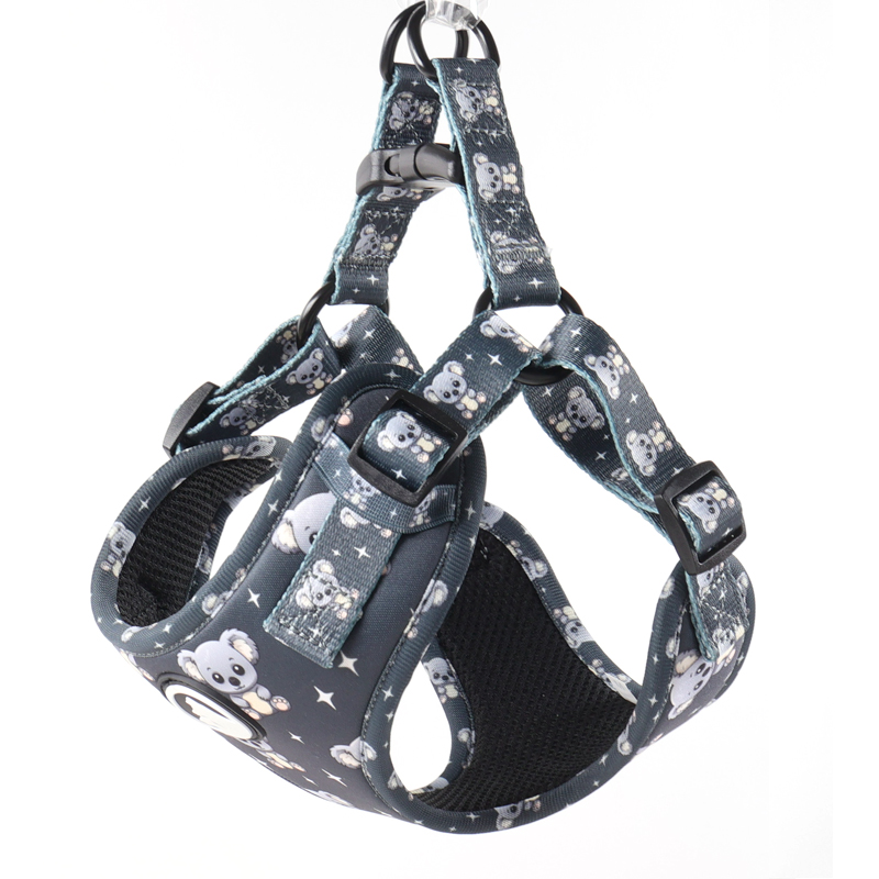 Ensemble harnais pour chien personnalisé avec motif mignon, collier et laisse pour animal de compagnie 23