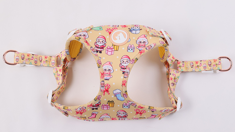 Ensemble harnais pour chien personnalisé avec motif mignon, collier et laisse pour animal de compagnie 8