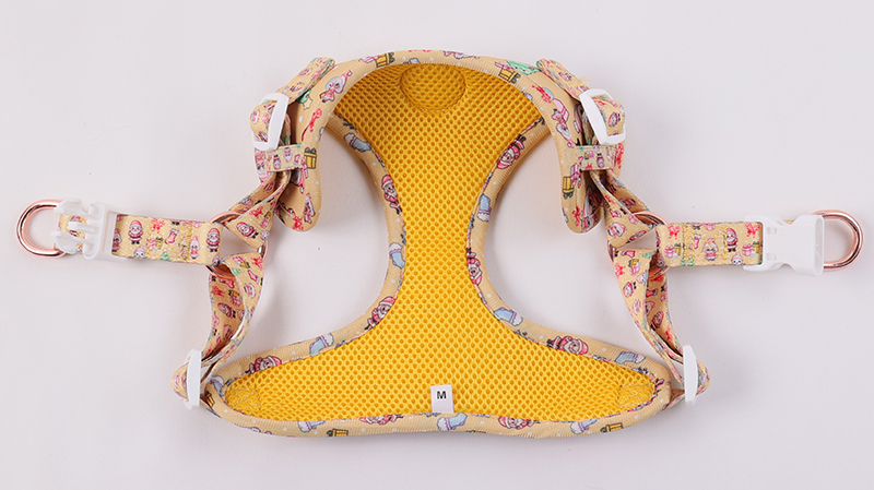 Ensemble harnais pour chien personnalisé avec motif mignon, collier et laisse pour animal de compagnie 9