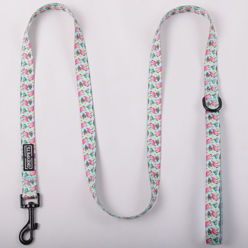 Ensemble harnais pour chien personnalisé avec motif mignon, collier et laisse pour animal de compagnie 25