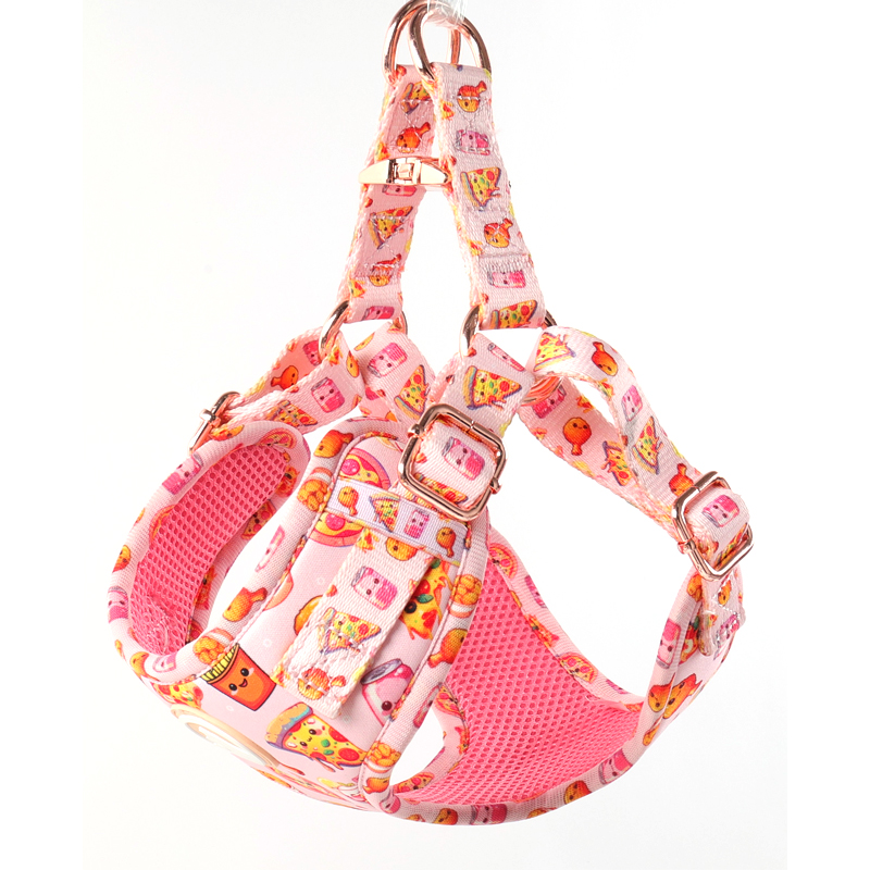 Ensemble harnais pour chien personnalisé avec motif mignon, collier et laisse pour animal de compagnie 19