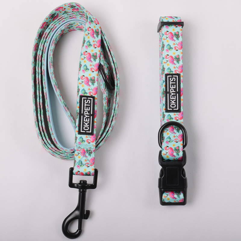 Ensemble harnais pour chien personnalisé avec motif mignon, collier et laisse pour animal de compagnie 24