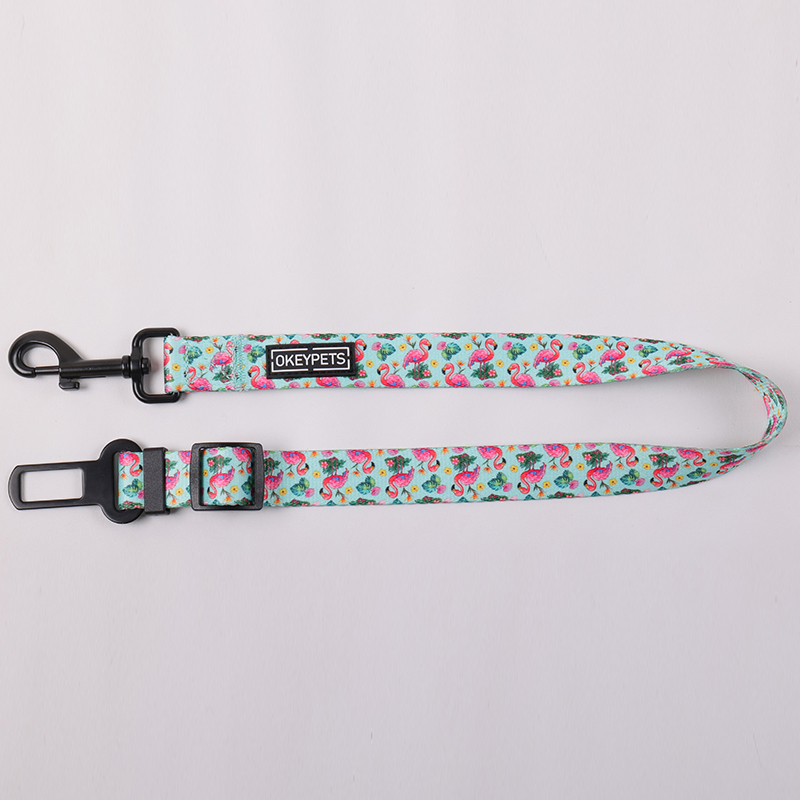 Ensemble harnais pour chien personnalisé avec motif mignon, collier et laisse pour animal de compagnie 29