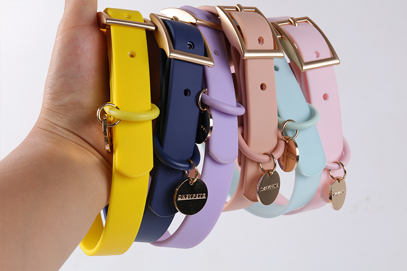 Ensemble collier et laisse pour chien en PVC multicolore, en vente en gros. Collier souple imperméable avec logo personnalisé et étiquette nominative. 19