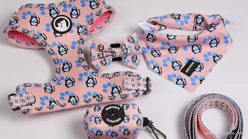 Brugerdefineret Air Mesh Hundesele Sæt Kæledyrstilbehør og Snor Sæt til Hunde 1