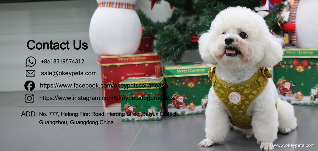 Broderad hundsele fabrik anpassad blomdesign justerbar husdjurssele 27