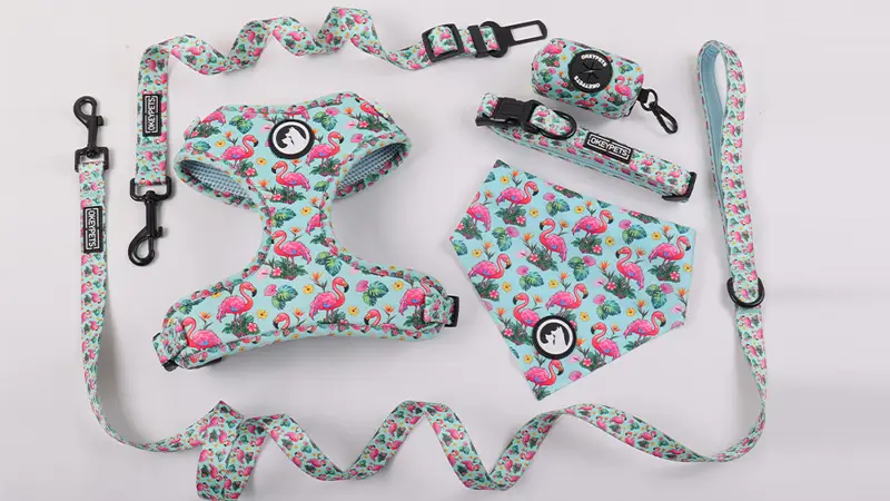 Kutyahám készlet gyártója egyedi neoprén állítható kutyahám kutyanyakörv és kutyapóráz 1